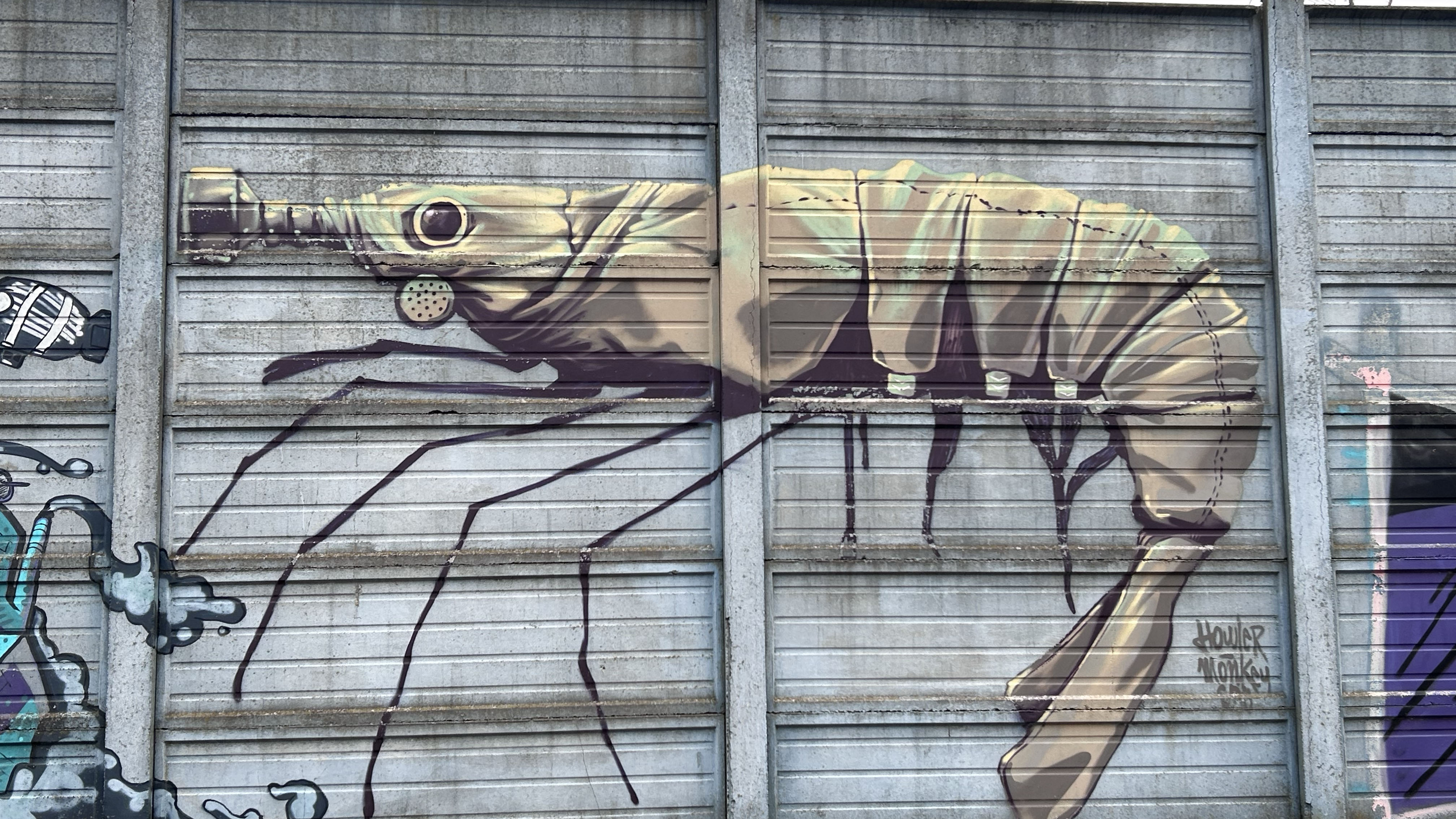 foto murales
