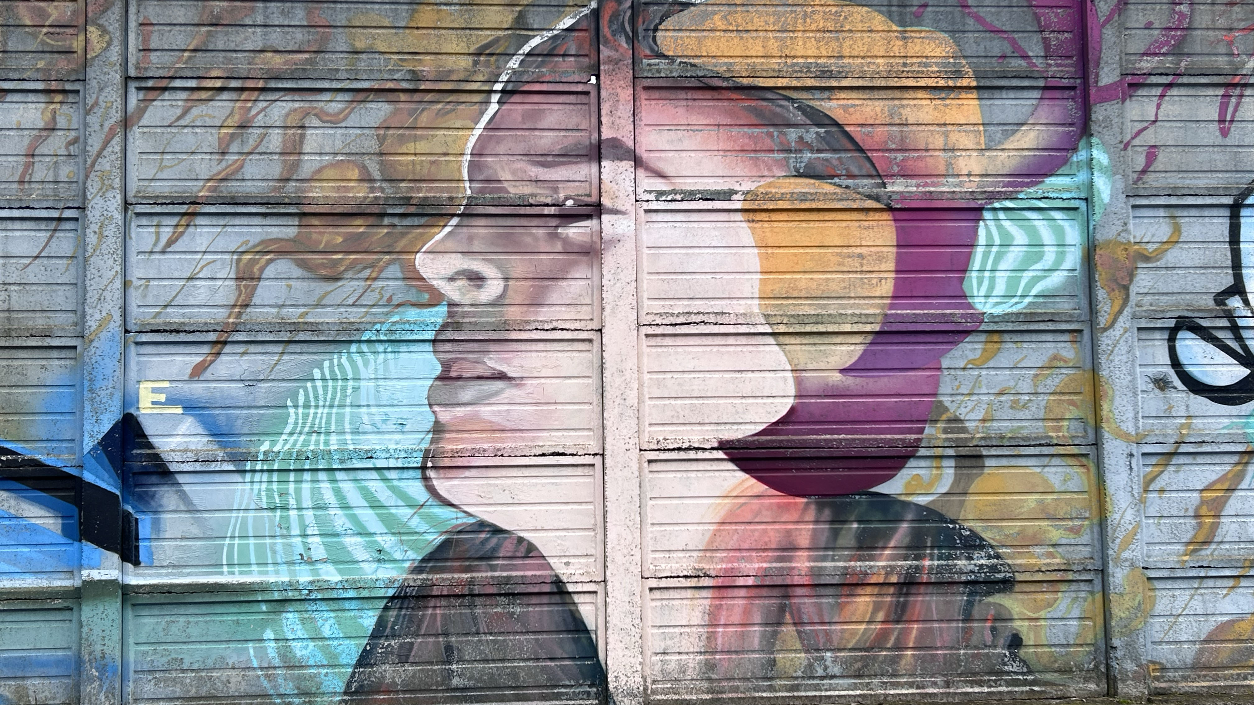 foto murales