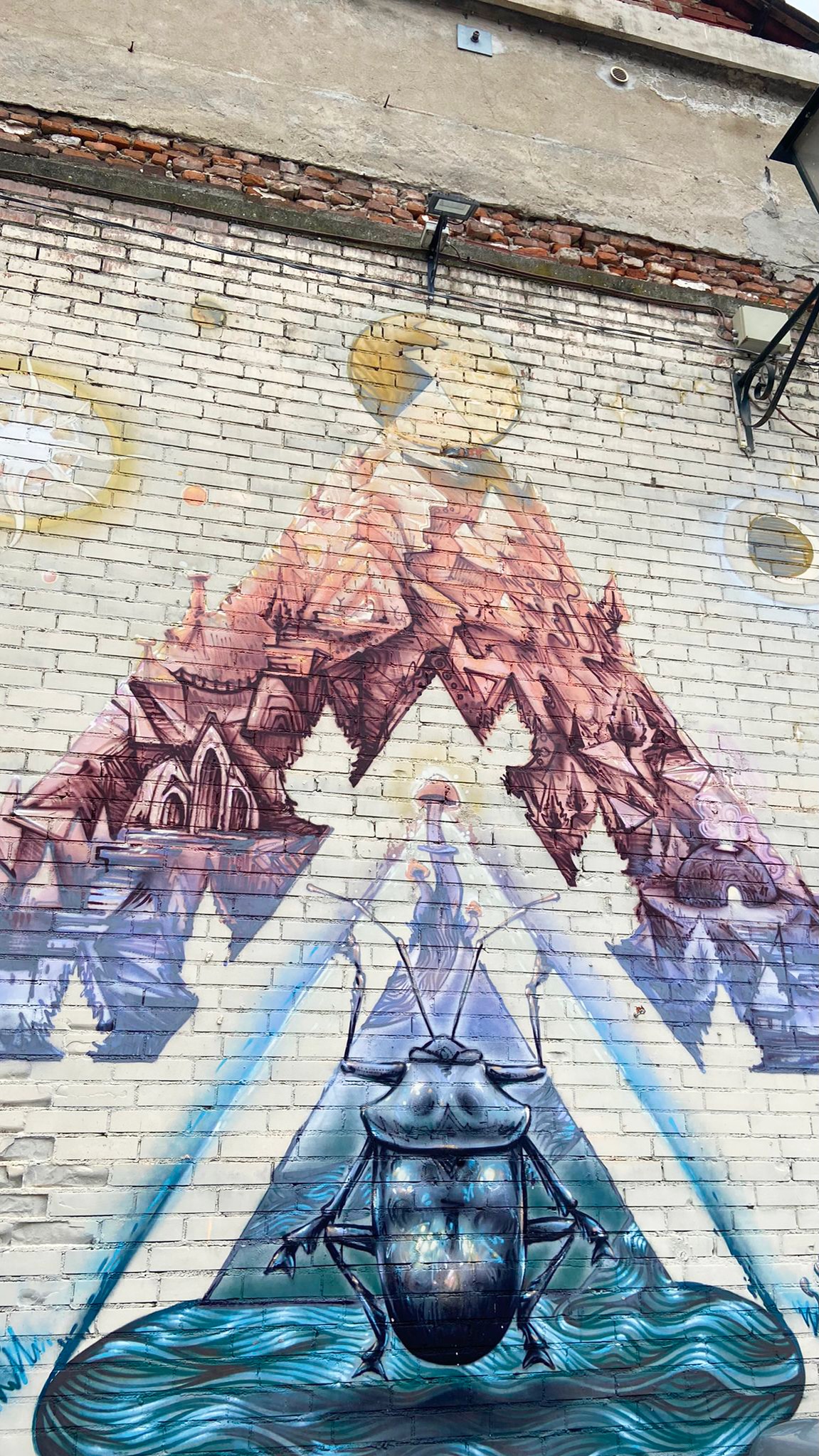 immagine murales
