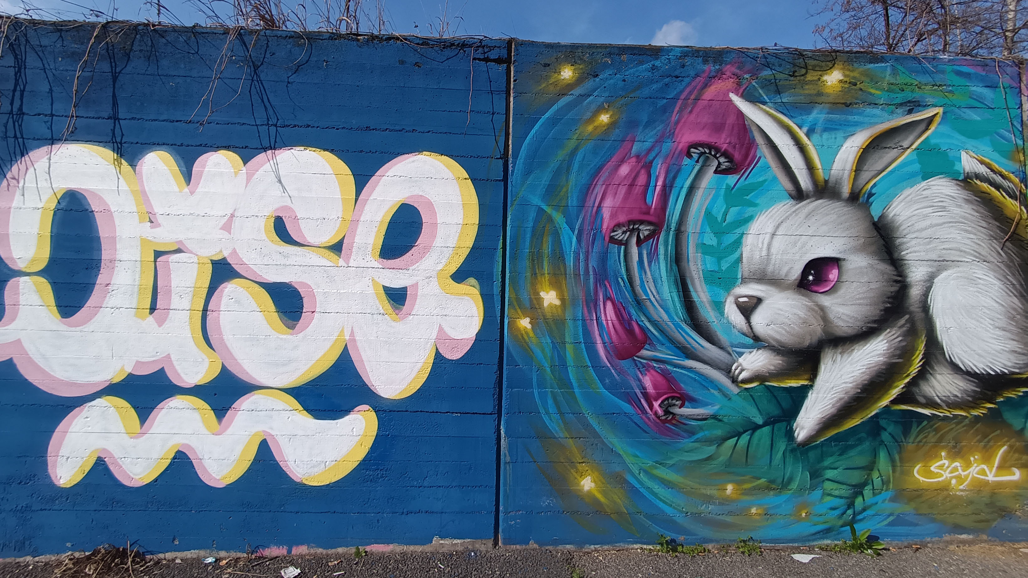 Murales immagine 2