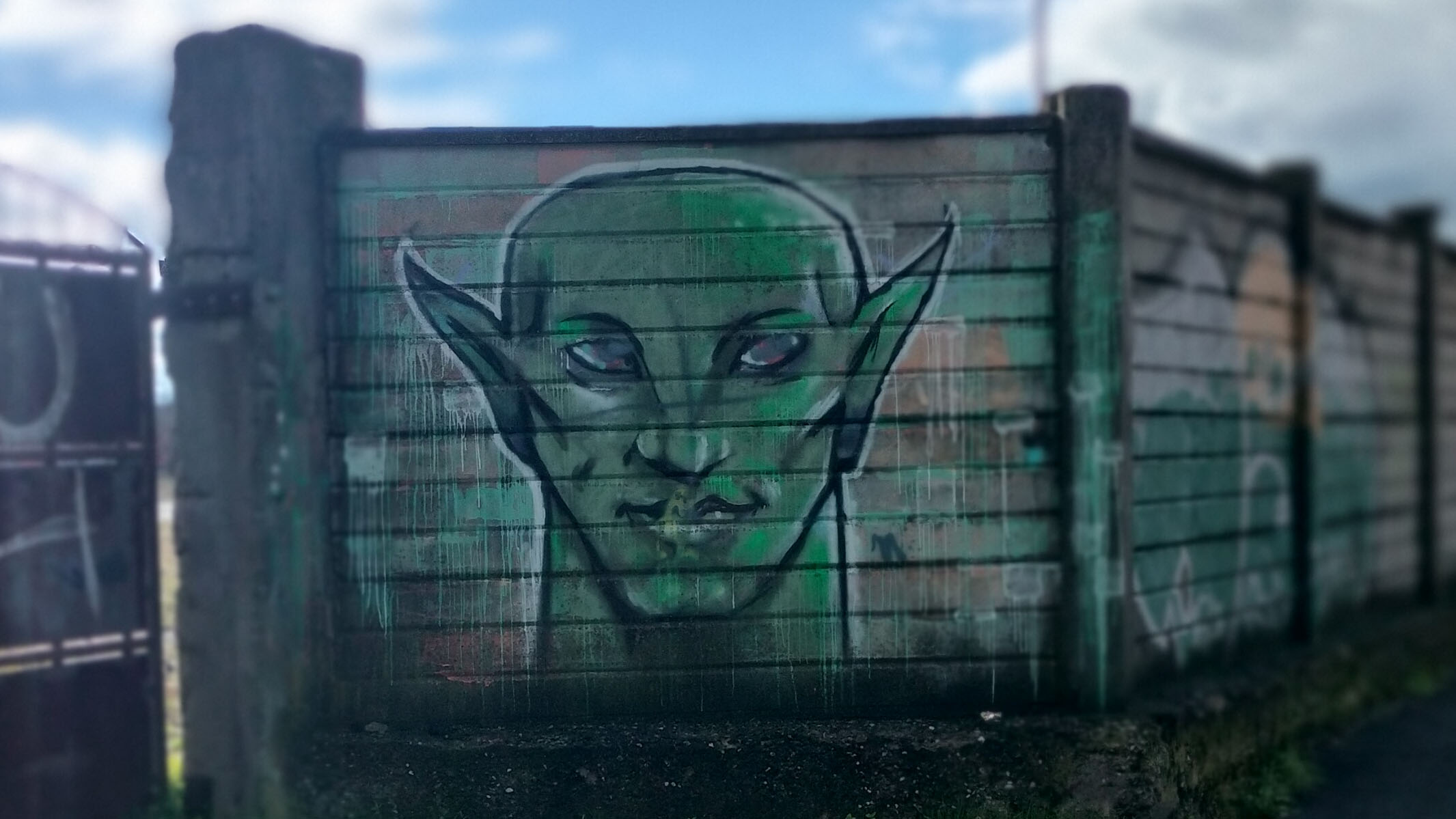 foto murales