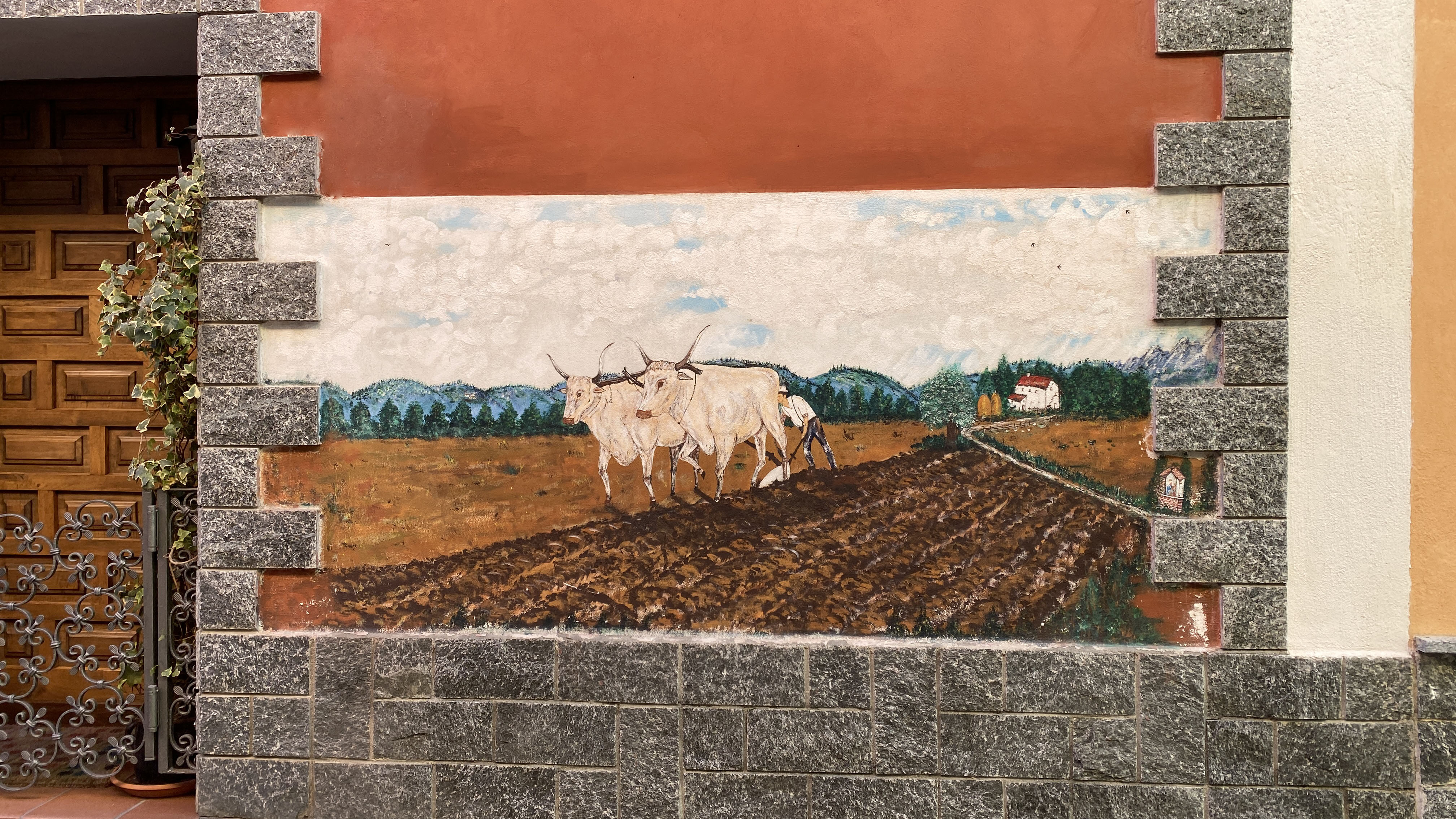 immagine murales